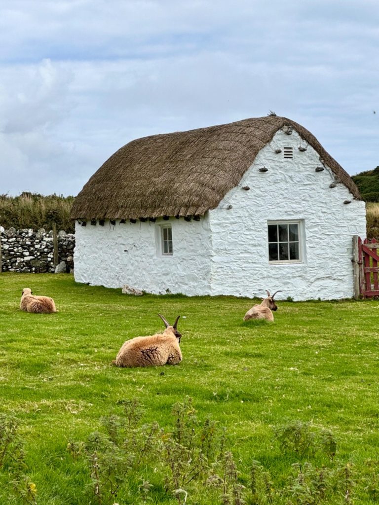 Cregneash dairy building